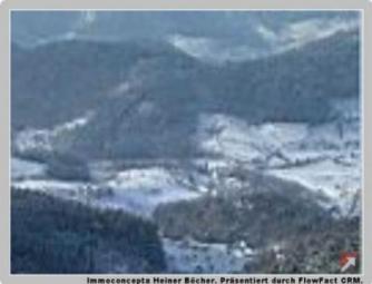 Grosszügige Grundstücke im Schwarzwald Grundstück kaufen 77889 Seebach Bild mittel