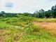  Brasilien 50 Ha Tiefpreis-Grundstück bei Presidente Figueiredo AM Grundstück kaufen Bild thumb