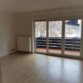 1 Zi.-Apartment mit EBK und großem Balkon Wohnung mieten 79737 Herrischried Bild klein