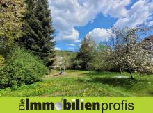 1696 - Baugrundstück mit ca. 1.100 m² in Naila Grundstück kaufen 95119 Naila Bild klein
