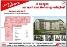 4 Zi. EG mit Terrasse ca. 115 m² - Wohnung 1 - Zeppelinstr. 10, 79761 Waldshut-Tiengen - Neubau Wohnung kaufen 79761 Waldshut-Tiengen Bild klein