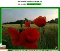 *** Acker 36990 m², pachtfrei mit Holzungsanteil *** Grundstück kaufen 04916 Herzberg (Elster) Bild klein