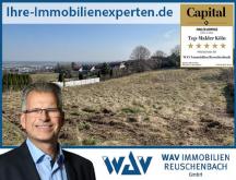 Attraktives Grundstück mit Entwicklungspotenzial in Bornheim-Hemmerich Grundstück kaufen 53332 Bornheim (Rhein-Sieg-Kreis) Bild klein