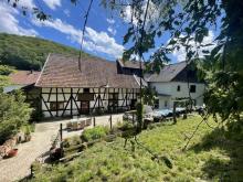 Bauernhaus für Pferde-/Tierhaltung Nähe Kirn und Bad-Sobernheim 1,3 ha (plus weiteres Pachtland möglich) Haus kaufen 55606 Bärweiler Bild klein