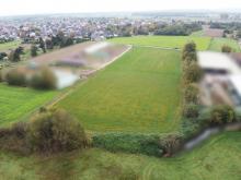 DIETZ: Traumhafte Landwirtschaftsfläche in Babenhausen Hergershausen neben Reiterhof zu verkaufen! Grundstück kaufen 64832 Babenhausen Bild klein