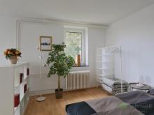 (EF1217_M) Kassel-Stadt: Kirchditmold, möbliertes Single-Apartment mit breitem, Bett, Waschmaschine und Balkon Wohnung mieten 34130 Kassel Bild klein