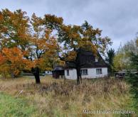 Einfamilienhaus im staatlich anerkannten Kurort Altenberg-Zinnwald Haus kaufen 01773 Altenberg Bild klein