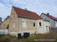 Einfamilienhaus in der Elsteraue zw. Herzberg und Bad Liebenwerda Haus kaufen 04924 Bad Liebenwerda Bild klein