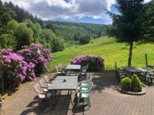 FERIENUNTERKUNFT mit großem Grundstück & Ausbaupotential in wunderschöner NATUR Lage in Winterberg Gewerbe kaufen 59955 Winterberg Bild klein