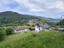 Freizeitgrundstück - Für Bienenfreunde, für Freunde der Natur evtl. Bebaubar. Grundstück kaufen 75323 Bad Wildbad Bild klein