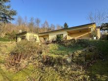 großzügiger Bungalow auf Traumgrundstück Haus kaufen 31855 Aerzen Bild klein