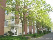 Ideal für Paare und Singles ** Parterrewohnung mit Sonnenterrasse Wohnung mieten 53125 Bonn Bild klein