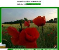 *** Landwirtschaftsfläche - Grünland / Wiese *** Grundstück kaufen 15938 Drahnsdorf Bild klein