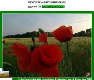 *** Landwirtschaftsflächen - Acker 1,9 ha *** Grundstück kaufen 15938 Drahnsdorf Bild klein