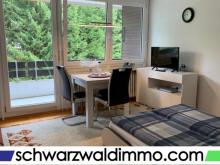 Möbliertes 1-Zimmerappartement im Feriengebiet Südschwarzwald Wohnung kaufen 79682 Todtmoos Bild klein