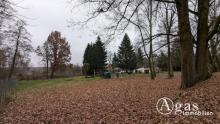 Natur pur - 5.700 m² großes Grundstück mit Bungalow in ruhiger Schildower Ortsrandlage Haus kaufen 16552 Schildow Bild klein