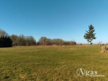 Noch zu teilendes ca. 1.250m² großes Grundstück mit ca. 4.000m² Gartenland in Ostseenähe Grundstück kaufen 17506 Lüssow (Landkreis Vorpommern-Greifswald) Bild klein