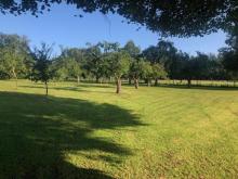 Obstgarten am Wörthsee: 5.462 m² eingezäuntes Freizeitgrundstück mit über 50 Obstbäumen! Grundstück kaufen 82266 Inning am Ammersee Bild klein