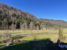 PROVISIONSFREI- Idyllisches Wohnen mit Weitblick: Haus mit zwei separaten Wohnungen in ruhiger Ortslage Haus kaufen 78580 Bärenthal Bild klein