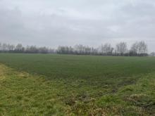 Resthof mit anliegender landwirtschaftlicher Fläche Haus kaufen 01990 Großkmehlen Bild klein