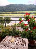 romantisches kleines Haus mit Moselblick und schöner Moselblick-Terrasse Haus kaufen 54492 Zeltingen-Rachtig Bild klein