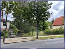 Sonniges Baugrundstück im Ortsteil Thyrow Grundstück kaufen 14974 Thyrow Bild klein