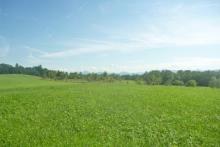 Süd-SüdWest von Weilheim in traumhafter Lage mit Blick in die Alpen Grundstück kaufen 82362 Weilheim in Oberbayern Bild klein