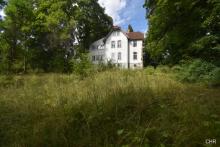 Wer erweckt mich aus meinem Dornrösschenschlaf - alte Jugenstilvilla in toller und ruhiger Wohnlage Haus kaufen 37441 Bad Sachsa Bild klein
