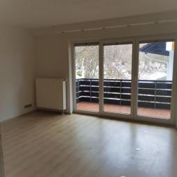 1 Zi.-Apartment mit EBK und großem Balkon Wohnung mieten 79737 Herrischried Bild mittel