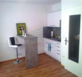 1-Zimmer Apartment in ruhiger, zentraler Lage Wohnung mieten 81373 München Bild mittel