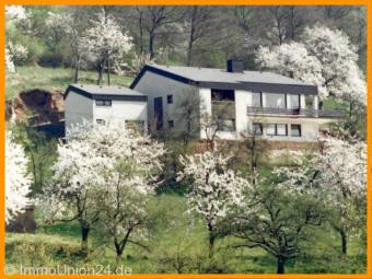 245 m² Architektenhaus in einmaliger Wohnlage mit atemberaubenden Terrassen zur Fränkischen Schweiz Haus kaufen 91367 Weißenohe Bild mittel