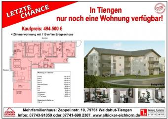 4 Zi. EG mit Terrasse ca. 115 m² - Wohnung 1 - Zeppelinstr. 10, 79761 Waldshut-Tiengen - Neubau Wohnung kaufen 79761 Waldshut-Tiengen Bild mittel