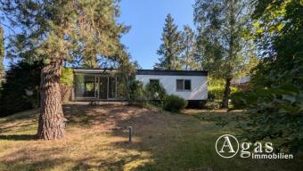 attraktiver Bungalow mit Sauna und großem Garten in Berlin-Kladow Haus 14089 Berlin Bild mittel