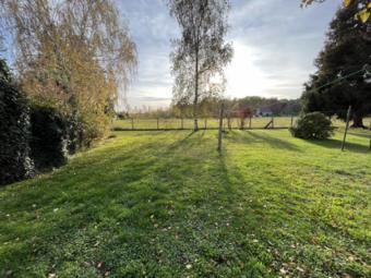 Bäuerliches Einfamilienhaus mit viel Platz ... Haus kaufen 03253 Schönborn (Landkreis Elbe-Elster) Bild mittel