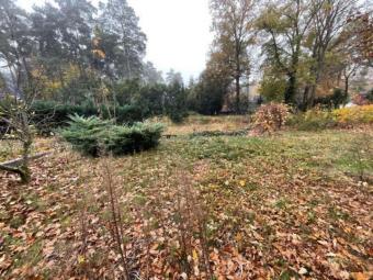 Baugrundstück in gefragter Lage im schönen Schildow Grundstück kaufen 16552 Schildow Bild mittel