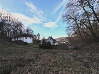 (Bau)grundstück / naturnah gelegen / mit toller Fernsicht / in Wetzlar-Nauborn Grundstück kaufen 35580 Wetzlar Bild mittel