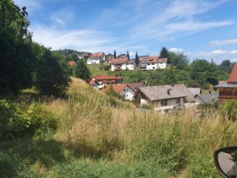 BÜHLERTAL: WOHNGRUNDSTÜCK 1464 m2! Teilweise im Landschaftsschutzgebiet mit unverbaubarer Aussichtslage. Grundstück kaufen 77830 Bühlertal Bild mittel