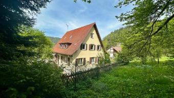 Burgblick - castle view - großzügiges Schwarzwaldhaus in Bad Liebenzell - huge Black Forest house! Haus 75378 Bad Liebenzell Bild mittel