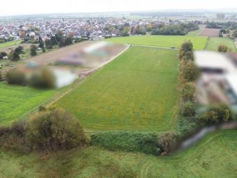 DIETZ: Traumhafte Landwirtschaftsfläche in Babenhausen Hergershausen neben Reiterhof zu verkaufen! Grundstück kaufen 64832 Babenhausen Bild mittel