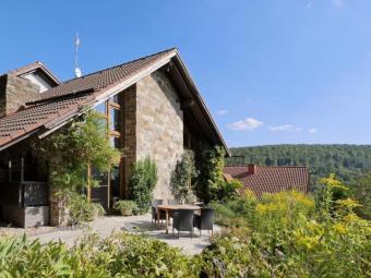 (EF0971_M) Kassel-Landkreis: Helsa, komplettes modernes Wohnhaus im rustikalen Stil mit Kamin, Garten und Terrasse Haus 34298 Helsa Bild mittel