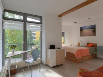 (EF1190_M) Dresden: Seidnitz/Dobritz, geniales modernes Apartment mit Balkon im ruhigen Hinterhaus Wohnung mieten 01237 Dresden Bild mittel