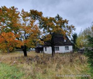 Einfamilienhaus im staatlich anerkannten Kurort Altenberg-Zinnwald Haus kaufen 01773 Altenberg Bild mittel