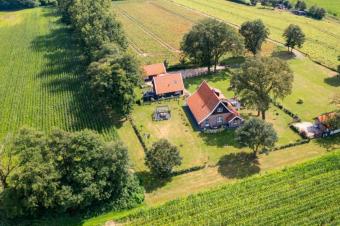 Einzigartiger Bauernkotten in idyllischer Alleinlage von Neuenhaus - Grasdorf Haus kaufen 49828 Neuenhaus Bild mittel