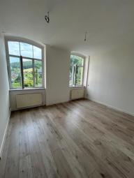 Erstbezug nach San.! Große 5-Zimmer Loft mit Wa., Du. und Riesenloggia in ruhiger Lage! EBK mgl. Wohnung mieten 09235 Burkhardtsdorf Bild mittel