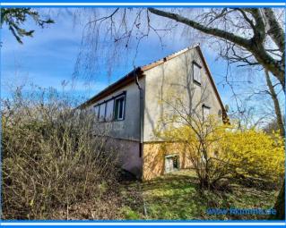 Freistehendes Einfamilienhaus am Ortsrand von Tangerhütte Ortsteil Cobbel Haus kaufen 39517 Tangerhütte Bild mittel