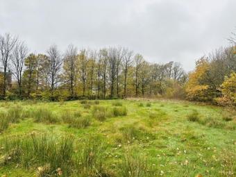 Großes Grundstück in Roetgen zu verkaufen Grundstück kaufen 52159 Roetgen Bild mittel