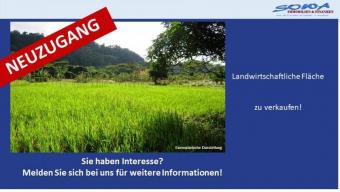 Großzügige Landwirtschaftsfläche oder Ausgleichsfläche zu verkaufen in Syrgenstein - Ein Objekt von SOWA Immobilien & Finanzen Ihrem Immobilienprofi vor Ort Grundstück kaufen 89428 Syrgenstein Bild mittel