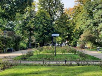 Ideale Studentenwohnung in der Villenkolonie Lichterfelde Wohnung kaufen 12203 Berlin Bild mittel