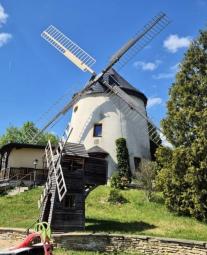 Liebhaberstück: Sanierte Holländerwindmühle in Dresden mit Restaurantbetrieb Haus kaufen 01157 Dresden Bild mittel