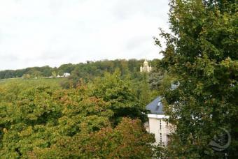 TRAUMBLICK NEROBERG - Obere Kapellenstrasse - Dachgeschosswohnung in denkmalgeschützter Villa Wohnung kaufen 65193 Wiesbaden Bild mittel